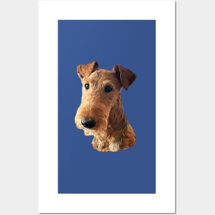 Airedale Terrier Head Art Posters and Art